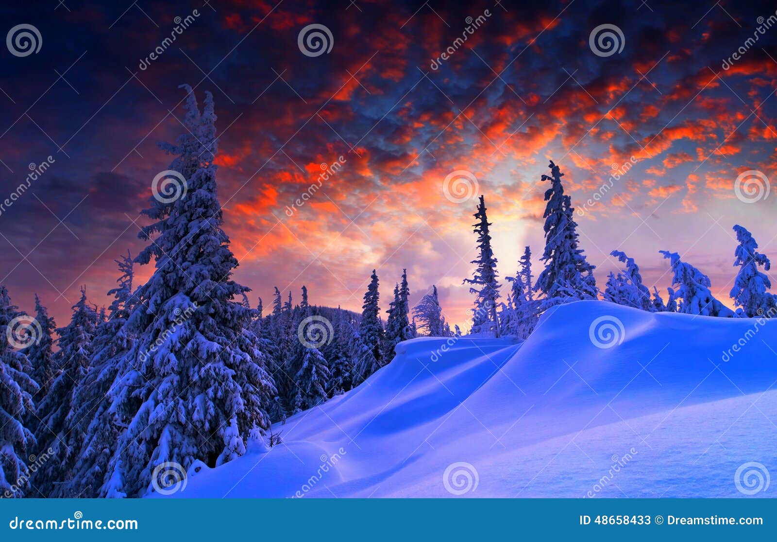 Snowy Landscape Stock Image Image Of Tree Snowy Landscape 48658433