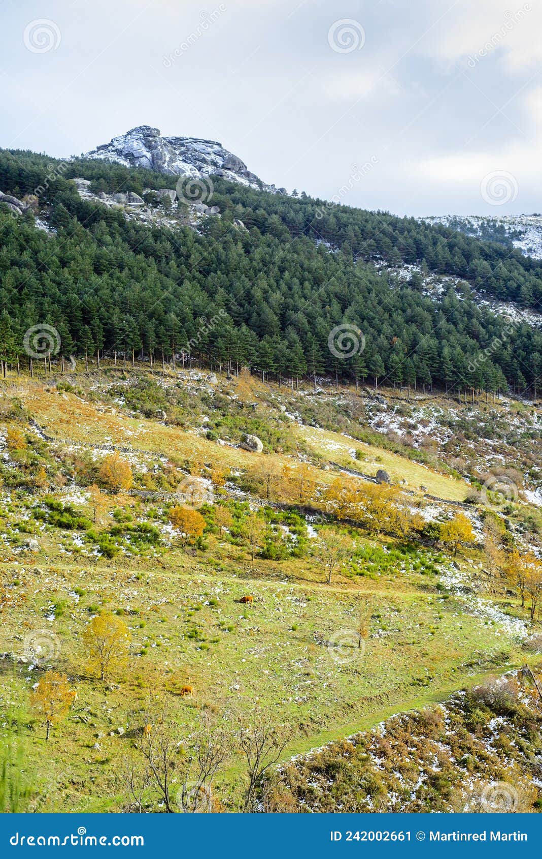 snowy mountain of hervas in autumn, extremadura