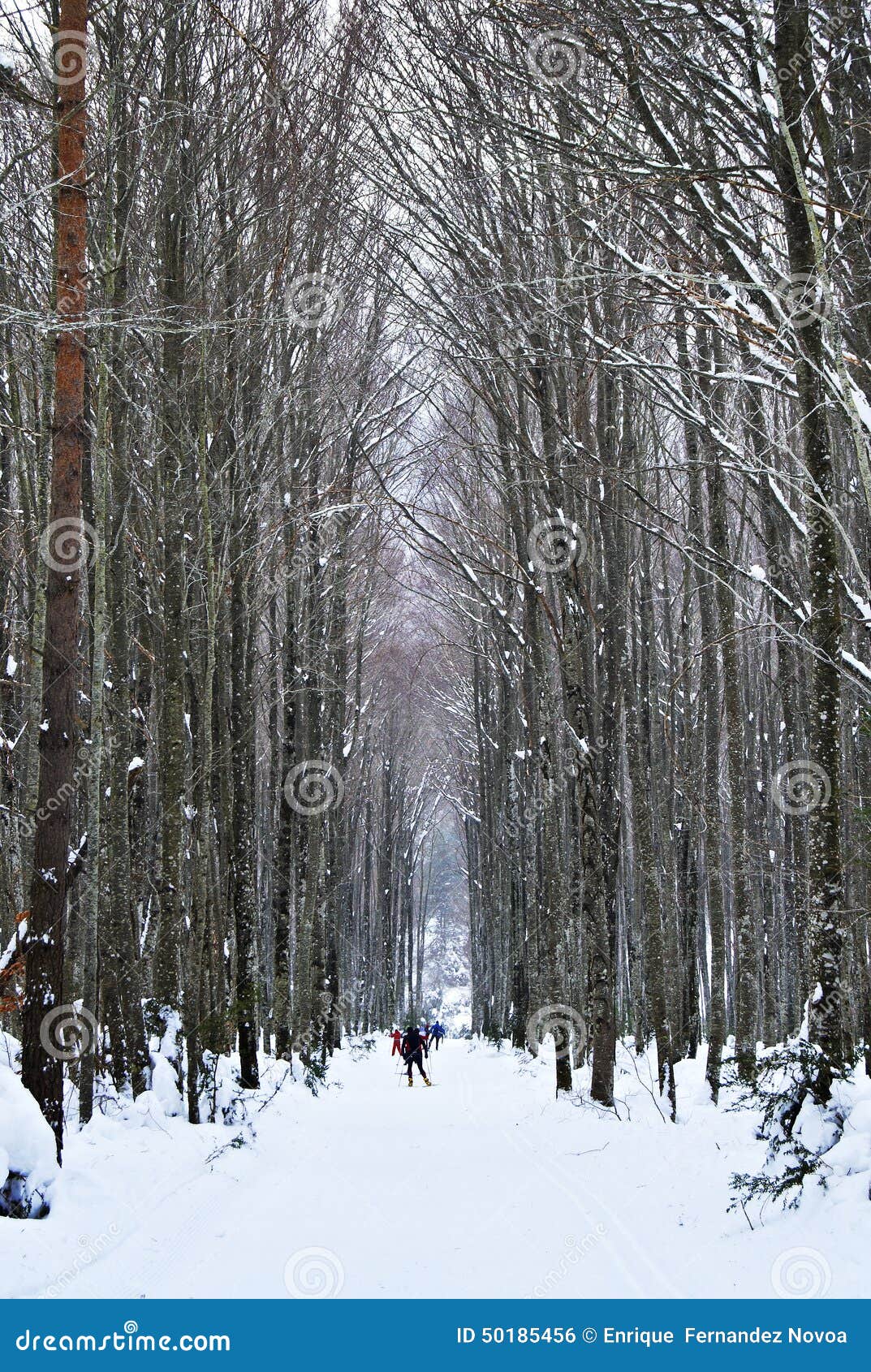 snowy mountains in isaba