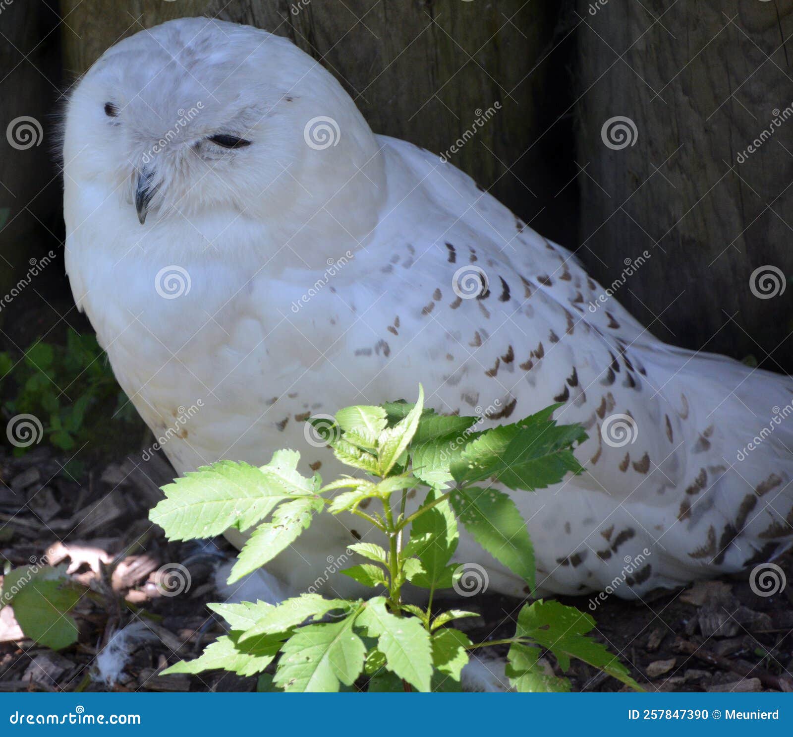 My Image 34