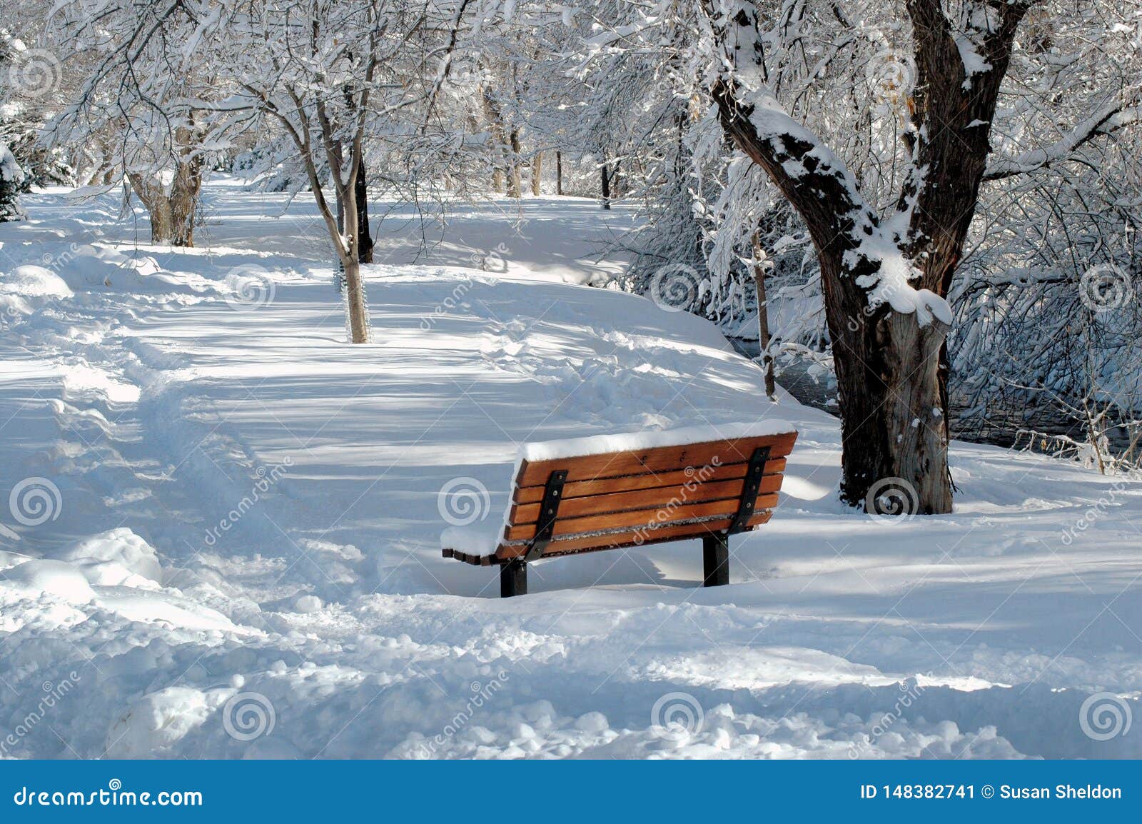 Snowy Park Bench In A Winter Park Stock Image Image Of Chilly