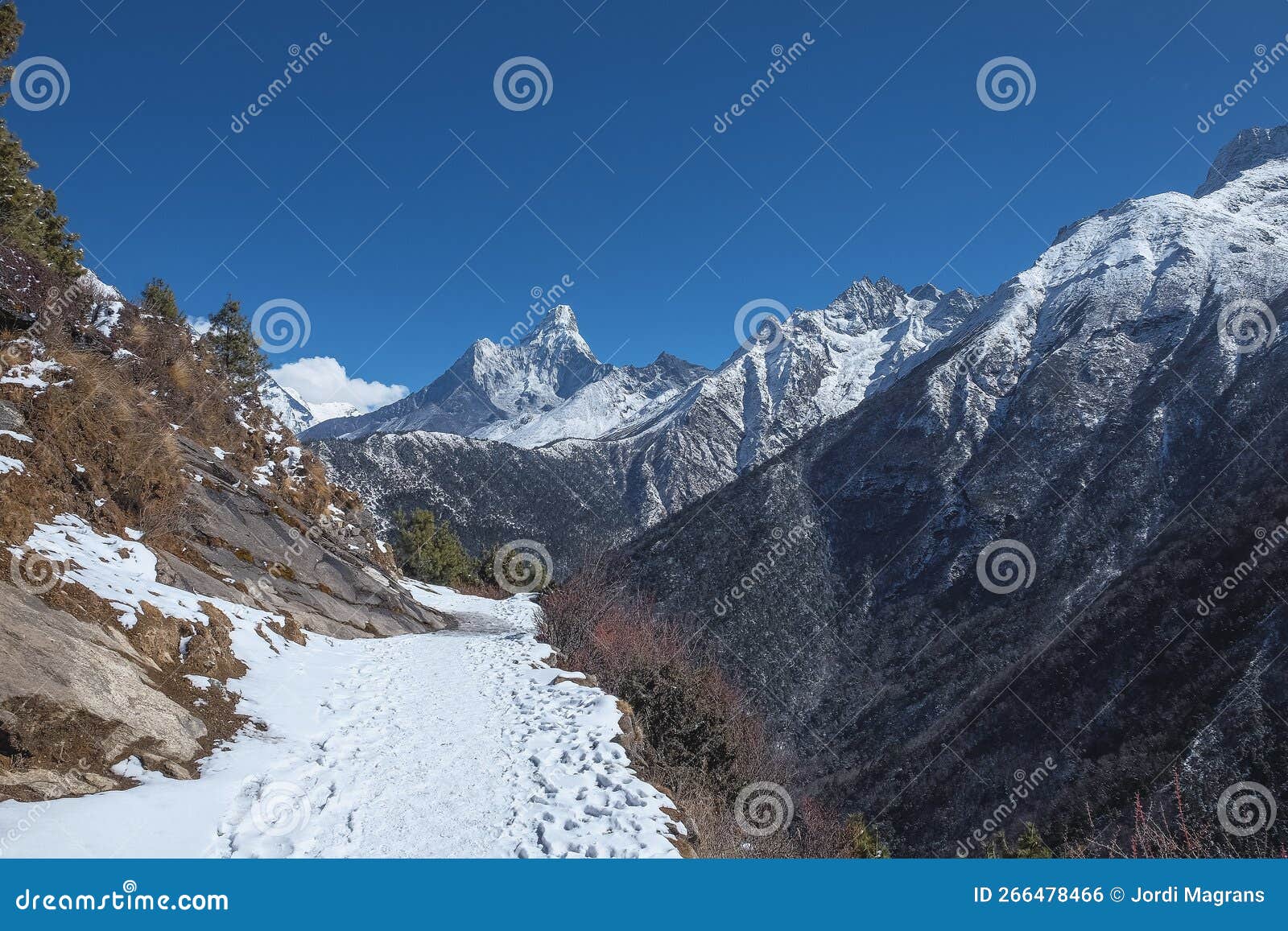 snowy path in the mountains