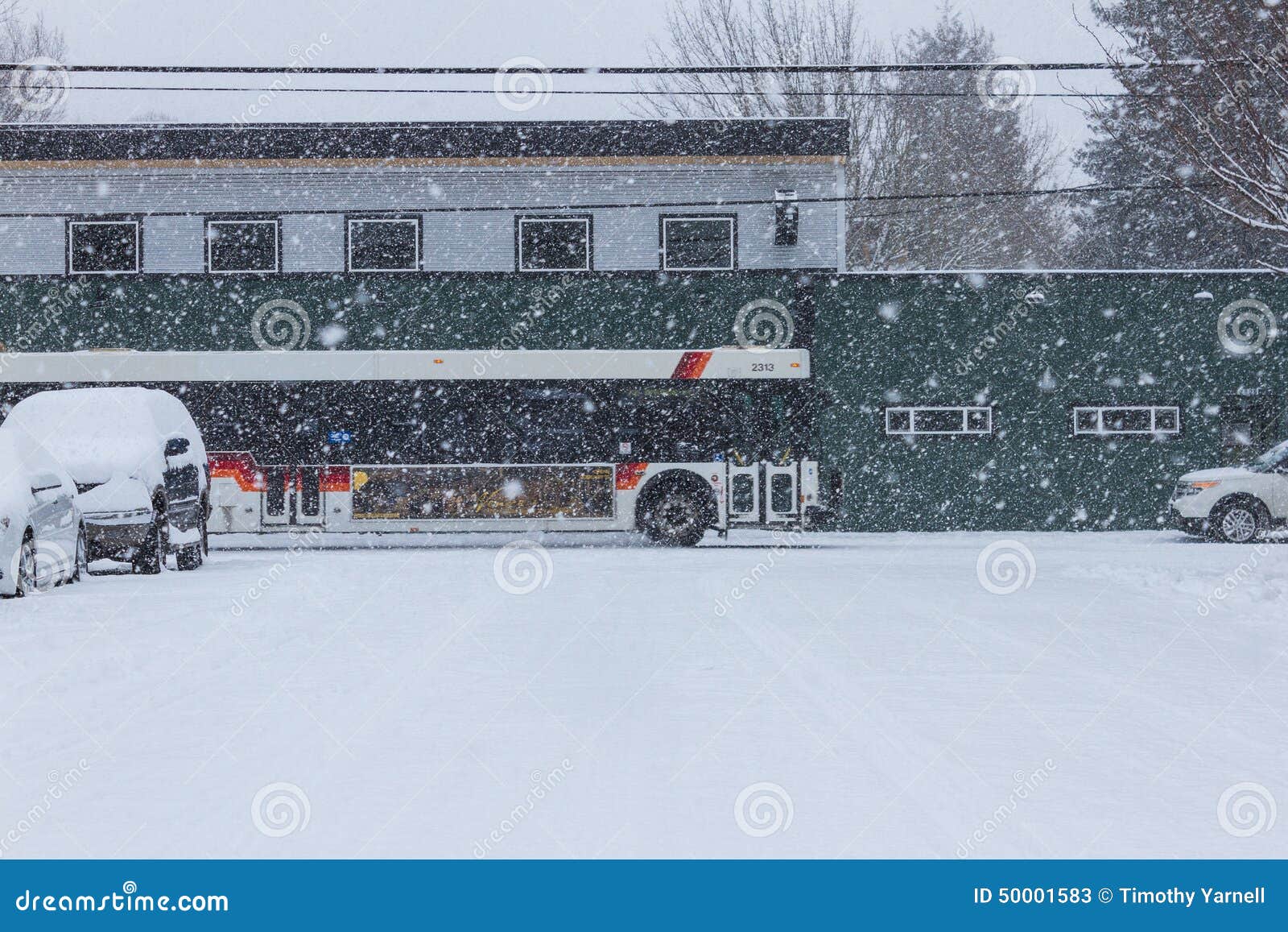 Snowy permuta. La mattina permuta un giorno di nord-ovest pacifico nevoso