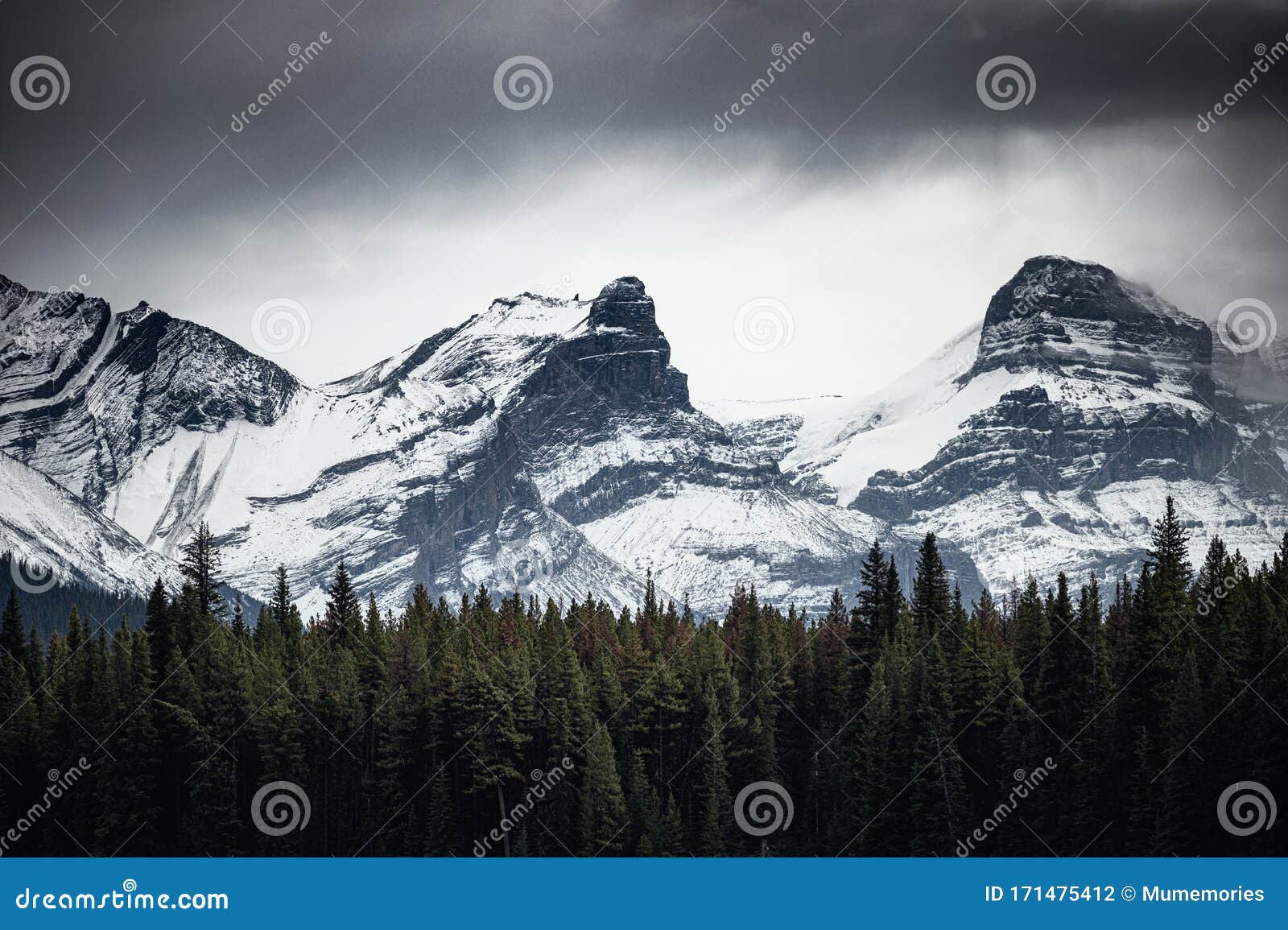 Snowy Rocky Mountains With Pine Forest In Gloomy Stock Photo Image Of Hill Environment Snowy Rocky Mountains With Pine Forest In Gloomy Stock Photo Image Of Hill Environment
