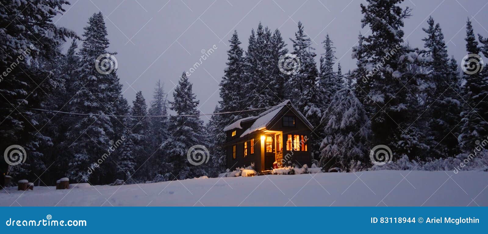 snowy tiny house