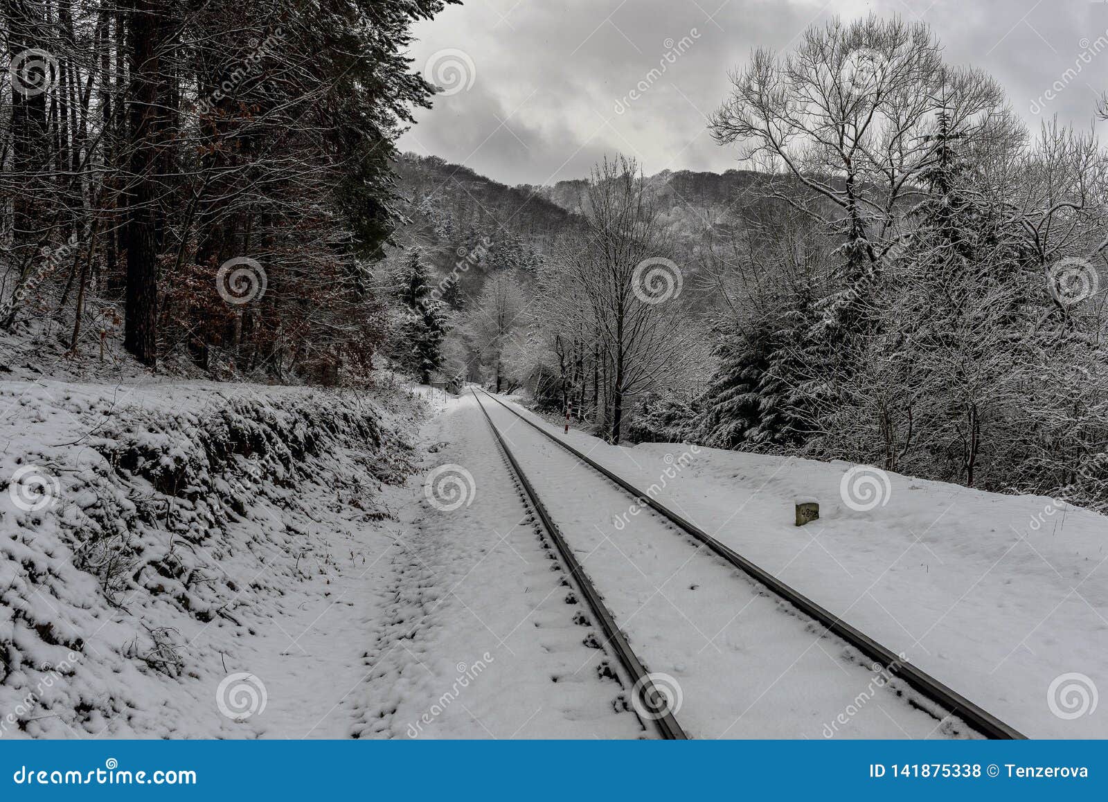 Snowy Train Tracks Leading through the Forest Stock Photo Image of