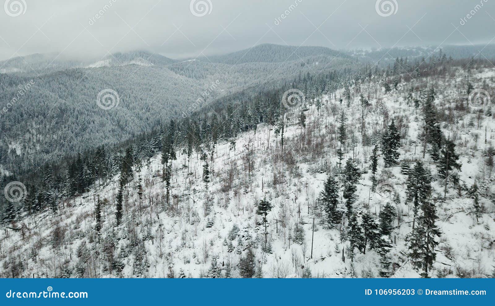 mountain landscape, carpatian mountains, winter