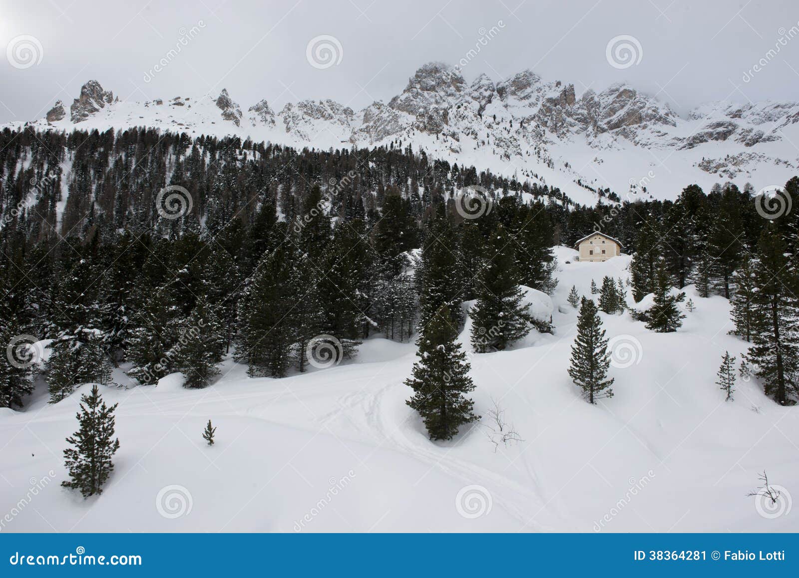 Snö når en höjdpunkt och fördunklar. Den idylliska panoraman av den snöig skogen och maxima i Dolomitien.