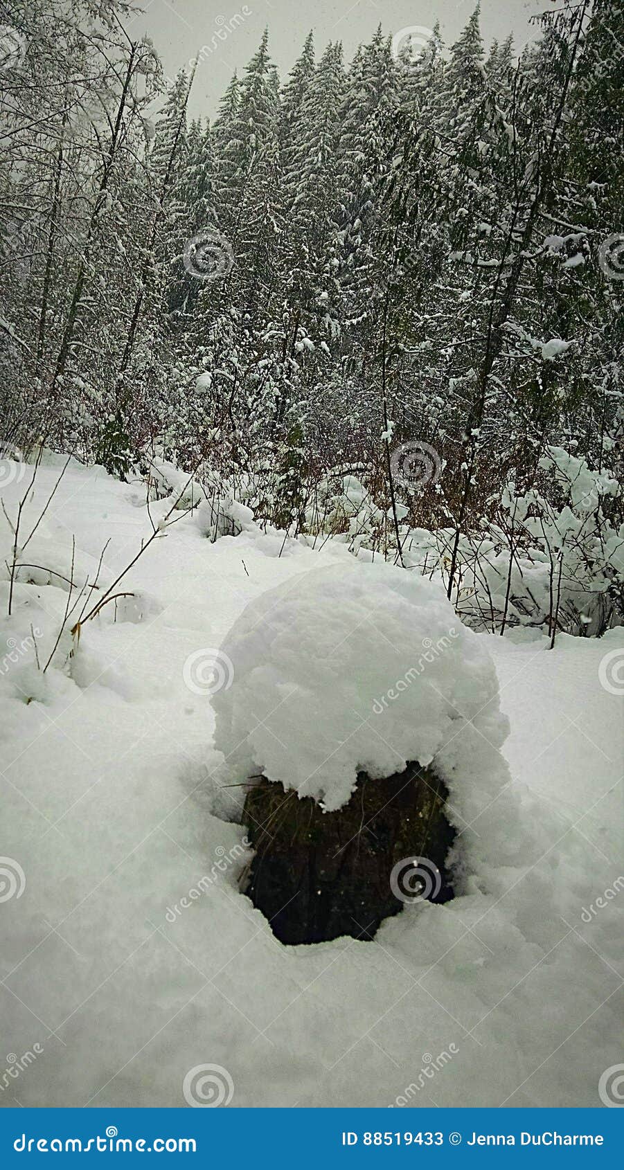 Snö på en stubbe. En snöig dag i bergen