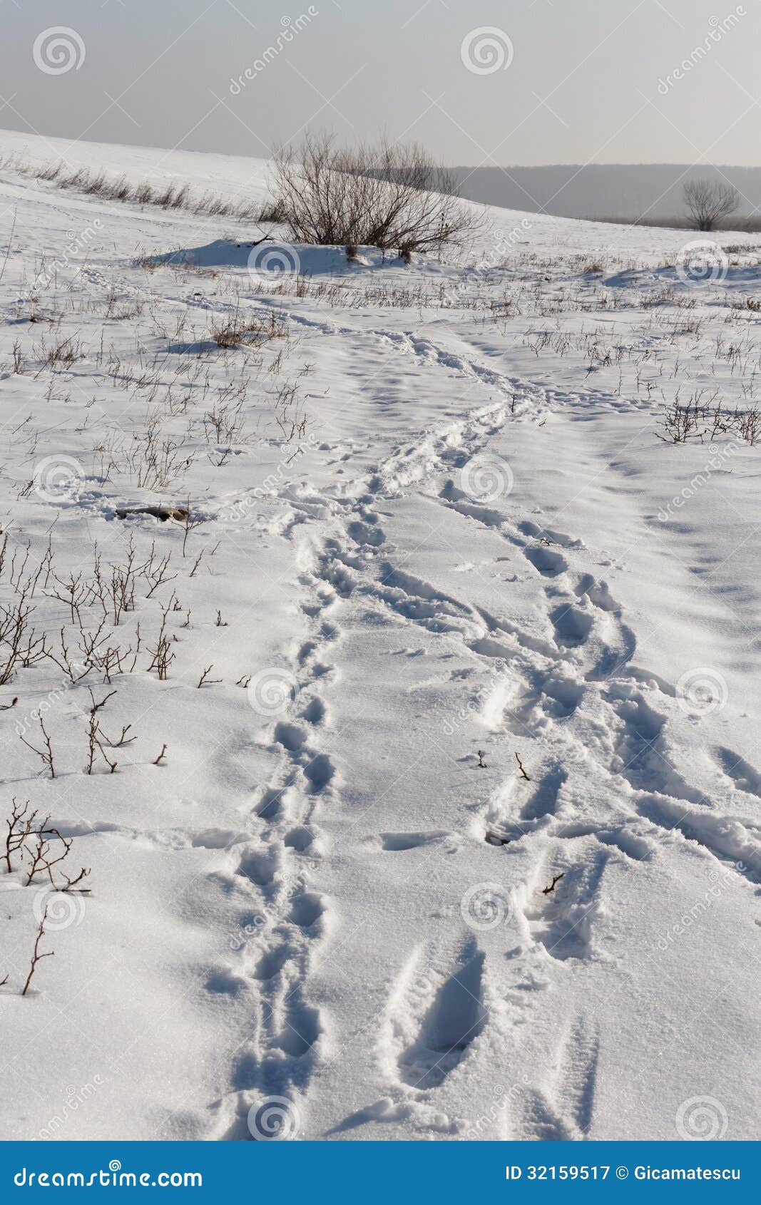 Snöspår fotografering för bildbyråer. Bild av trace, väder Snöspår fotografering för bildbyråer. Bild av trace, väder