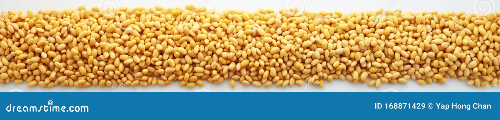 soak soybeans closeup