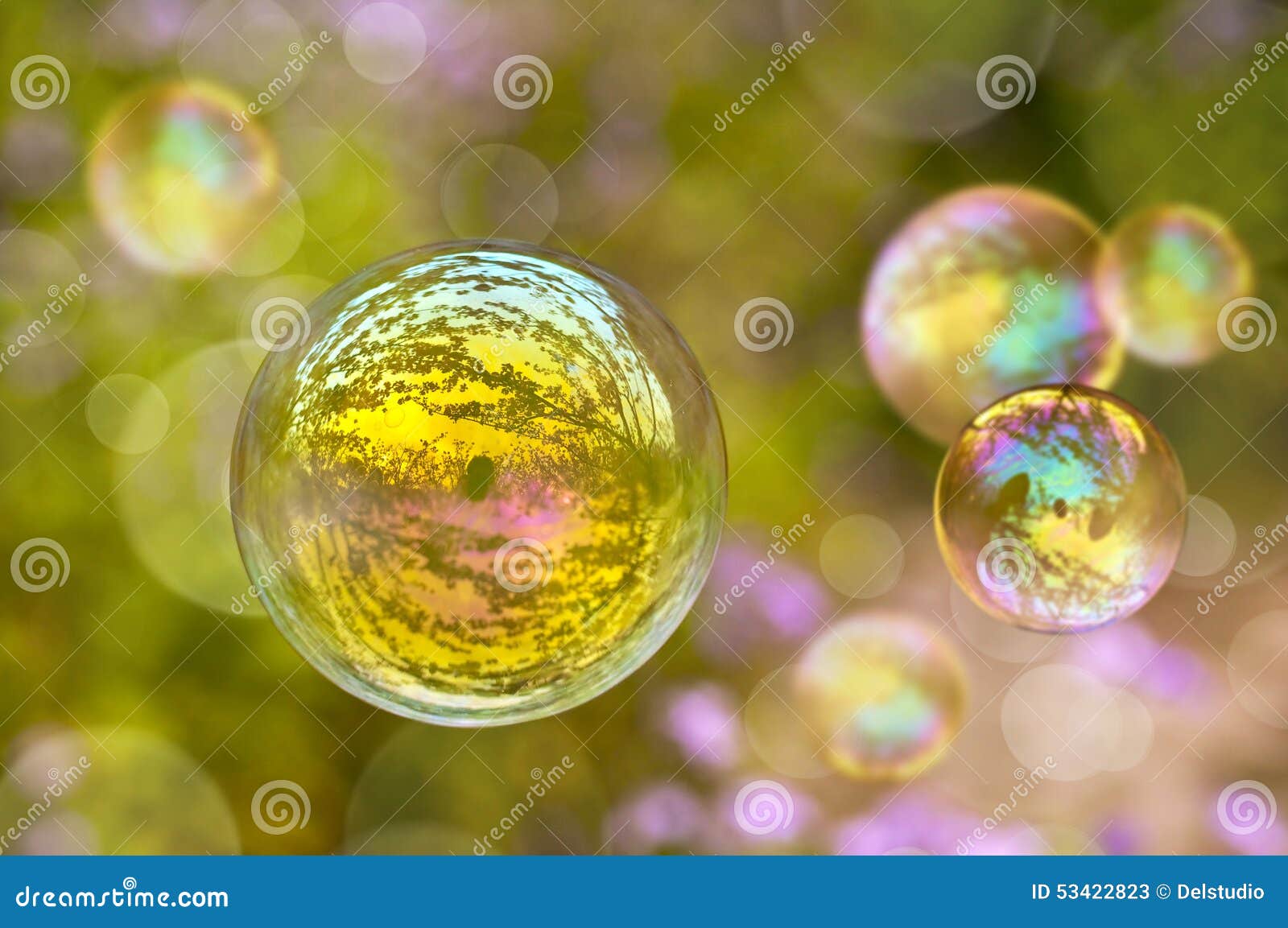 soap bubble, green vegetal background