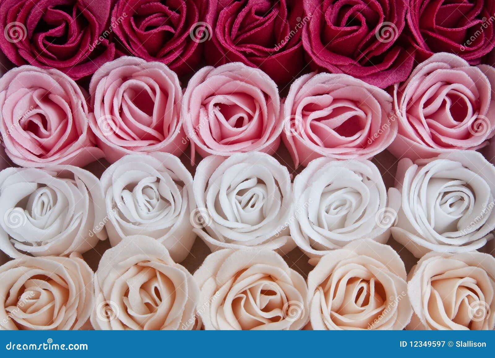 Soap Roses stock image. Image of soap, white, flower 12349597