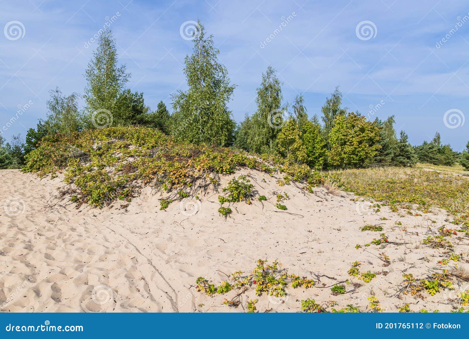 sobieszewo island, gdansk, poland