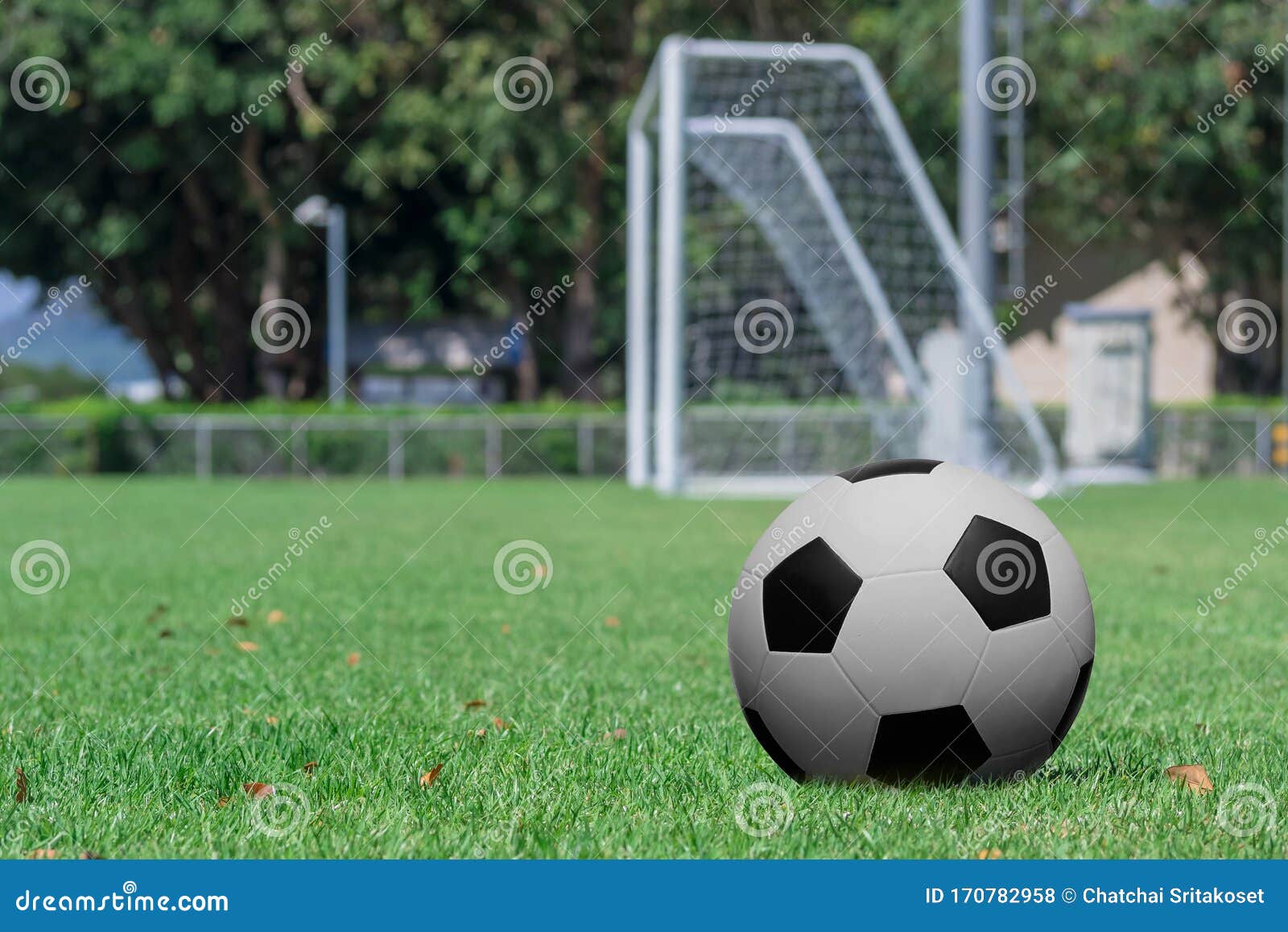 Soccer Ball with Field and Goal Posts Stock Photo Image of stadium