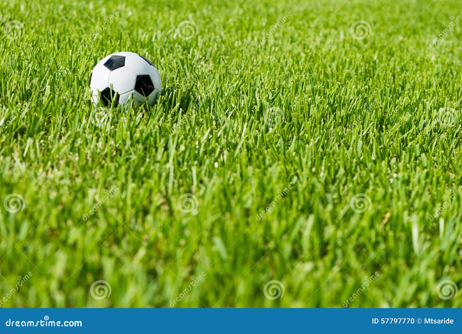 soccer ball football on grass