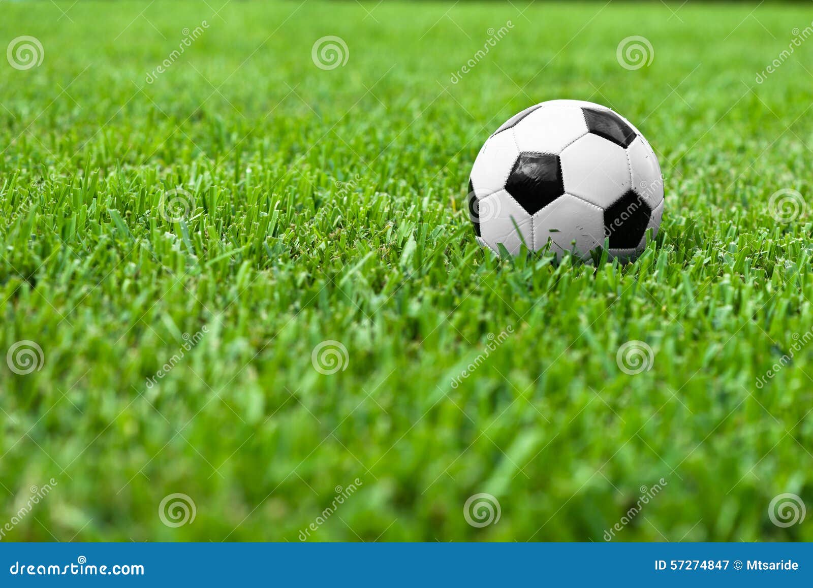 soccer ball futbol on grass