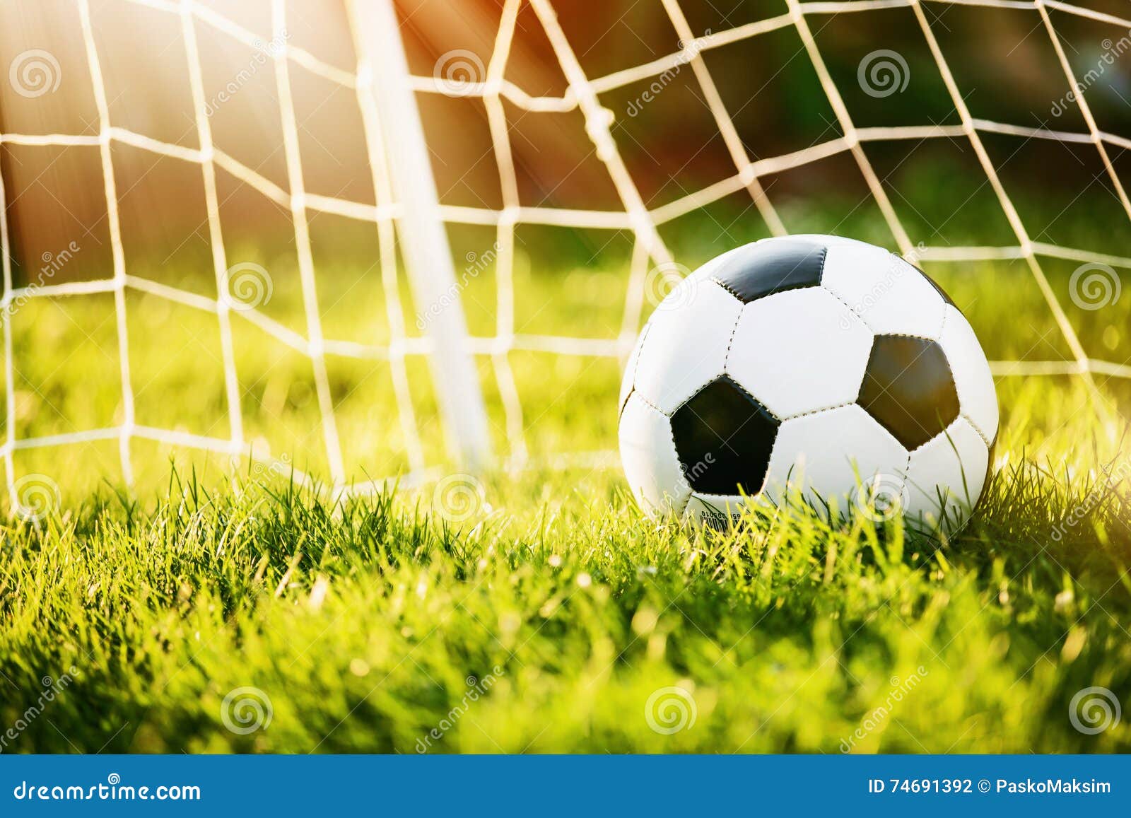 Soccer Ball In Goal Stock Photo Image Of Soccer Field