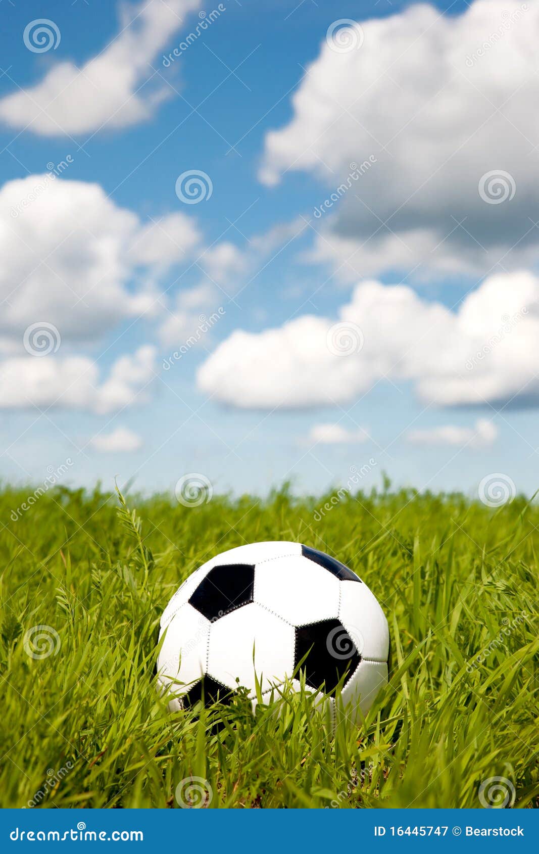 Soccer ball on grass stock image. Image of champion, ball 16445747