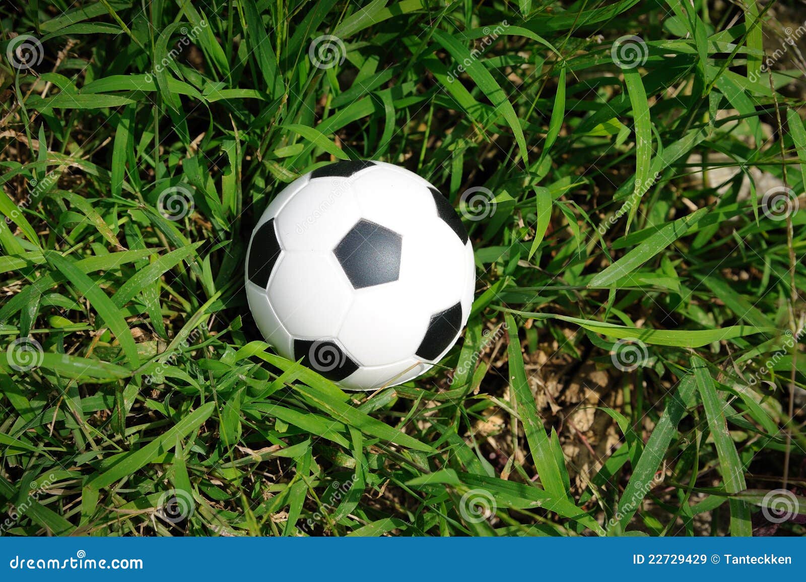 Soccer ball on the grass. stock image. Image of close 22729429