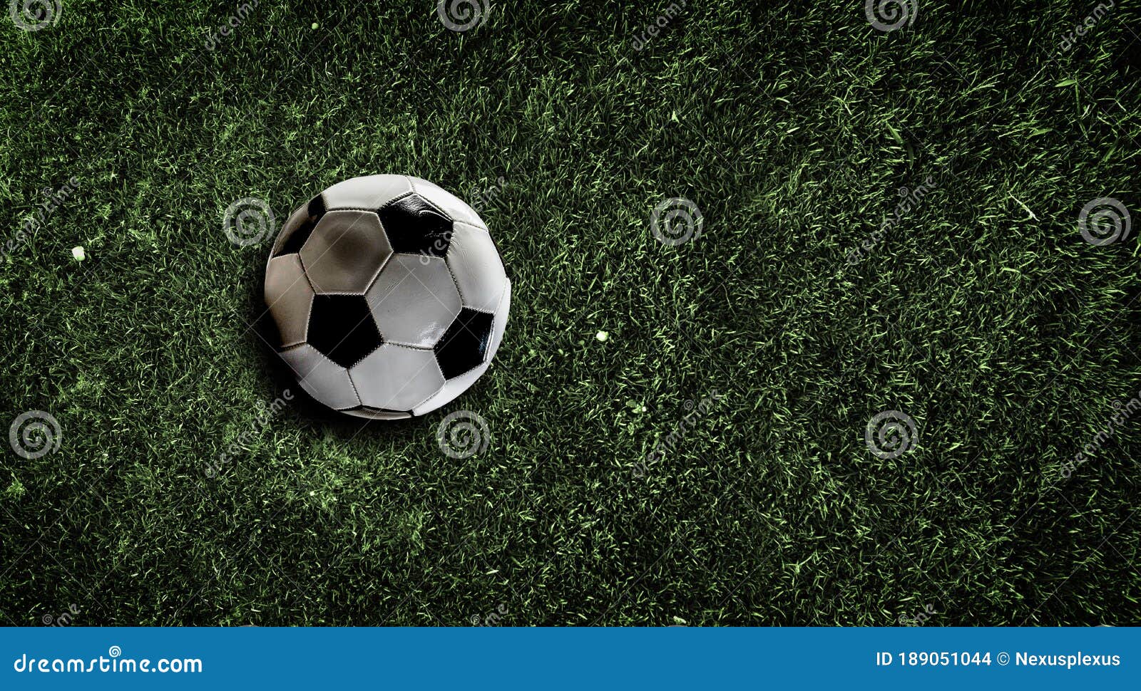 Soccer Ball on Grass Background Stock Photo Image of closeup, single