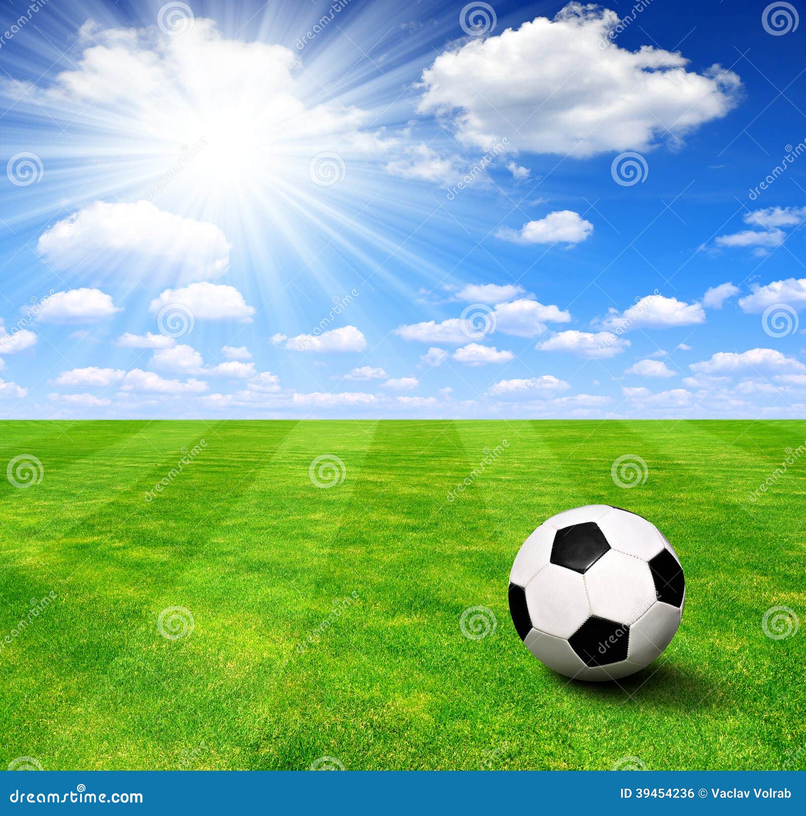 Soccer ball on grass stock photo. Image of blue, goal 39454236