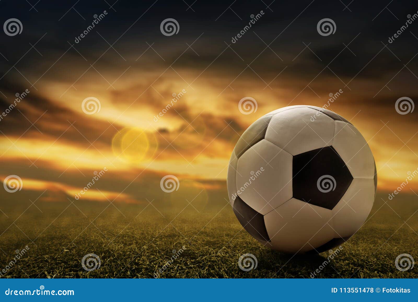 Soccer Ball on Grass at Sunset Stock Photo Image of championship, competition 113551478