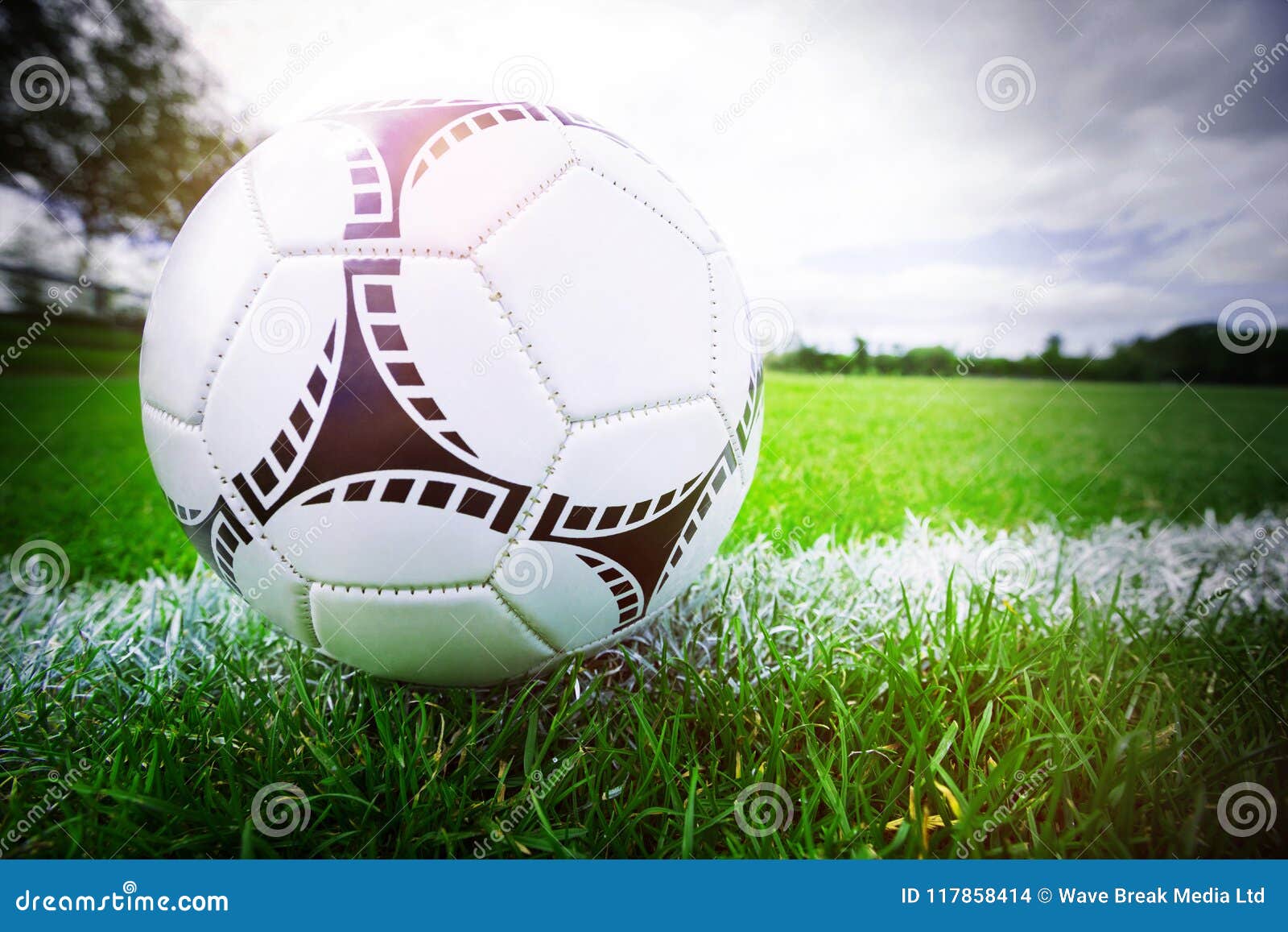 Soccer Ball on Marking Line Stock Photo Image of sideline, lawn