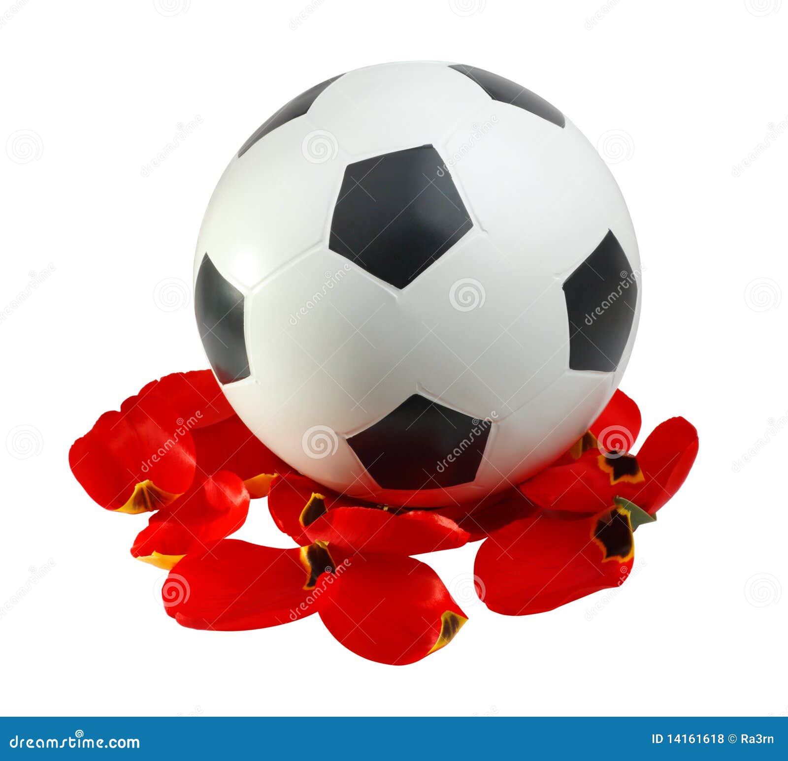 Soccer Ball To the Red Petals Stock Photo Image of white, flower
