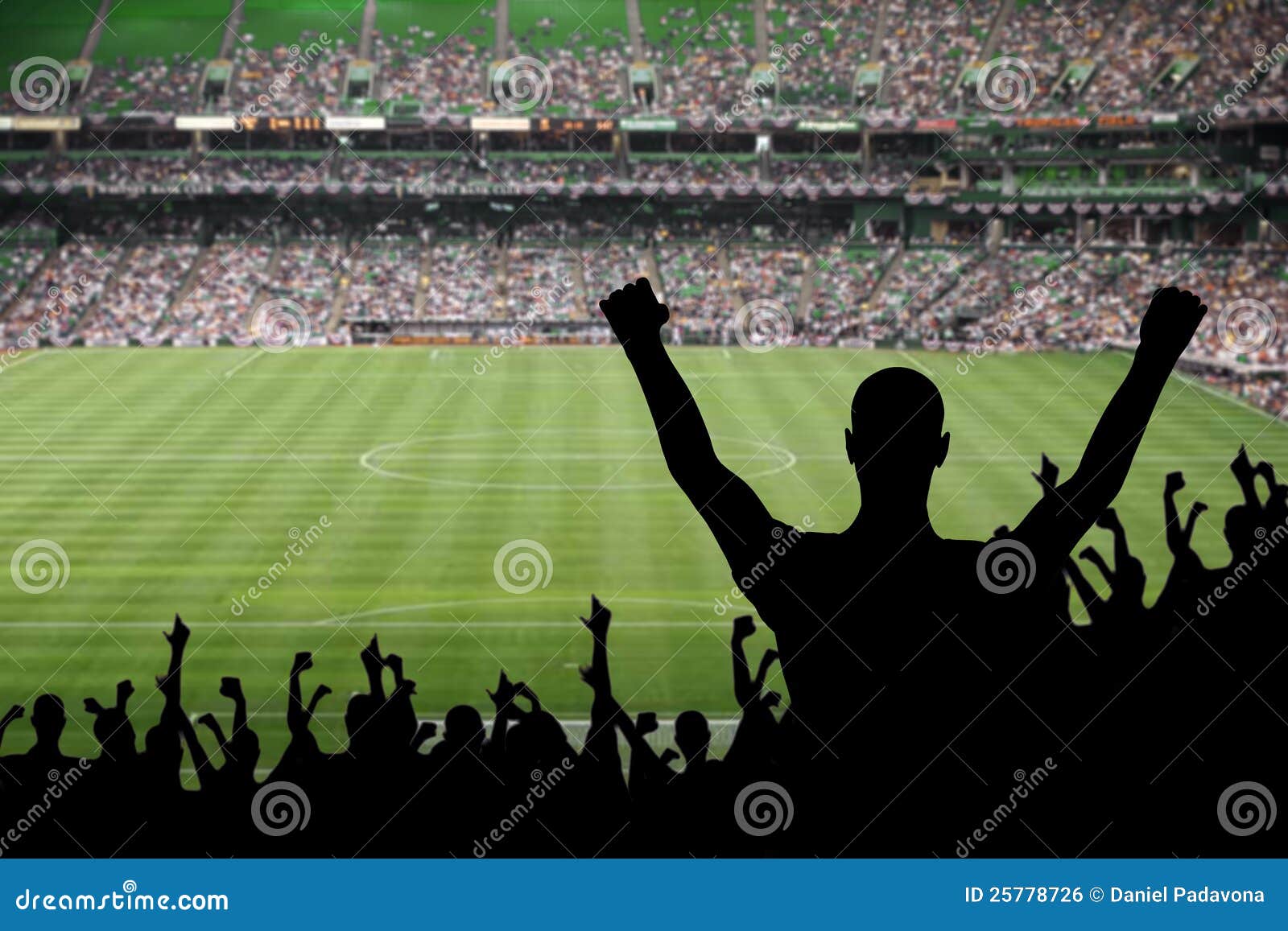 Soccer Fan Celebration stock photo. Image of field, victory 25778726