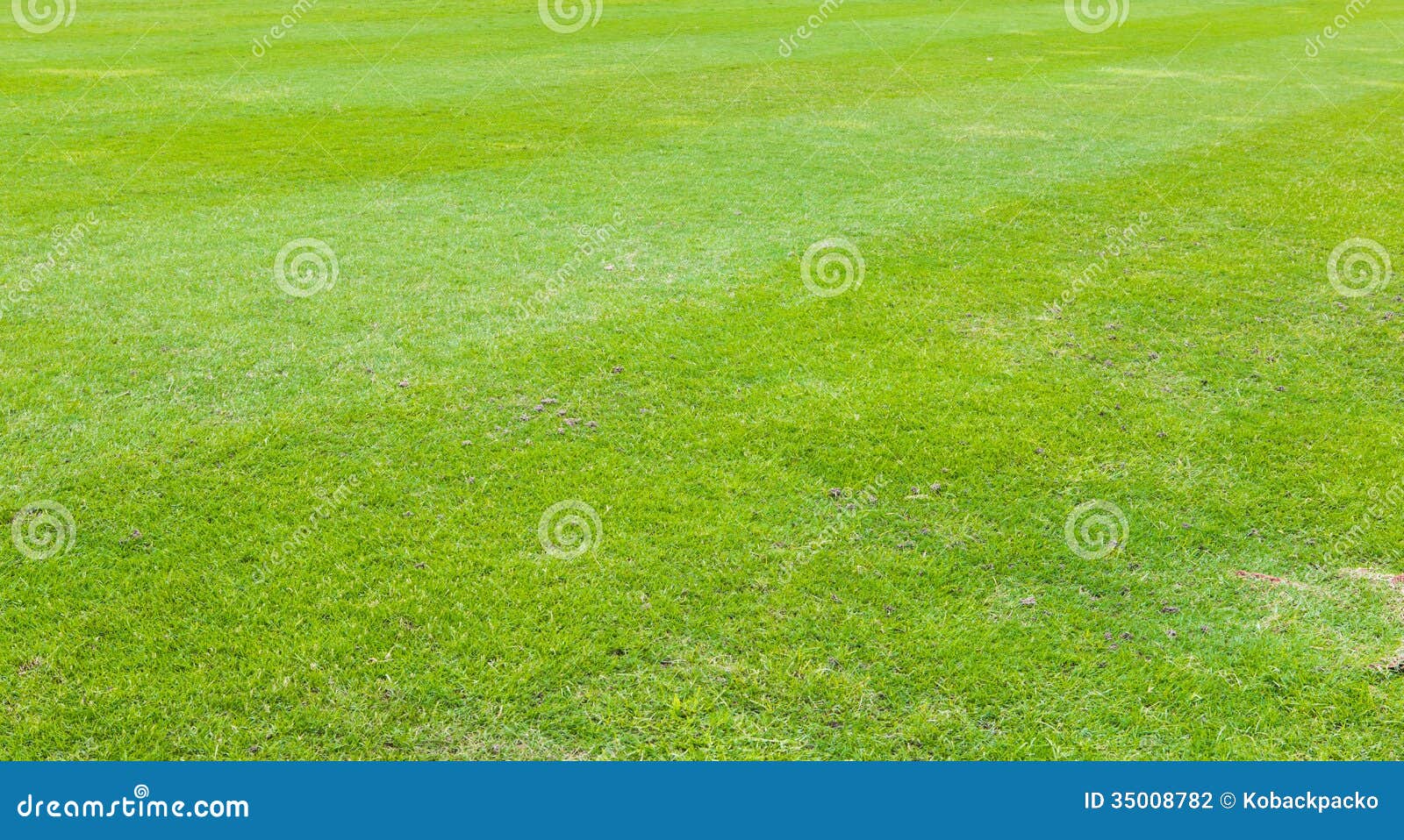 Soccer field stock photo. Image of league, european, grass - 35008782