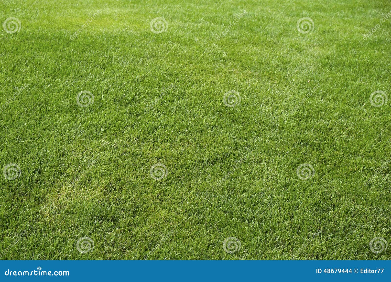 Soccer field details stock photo. Image of soccer, texture - 48679444