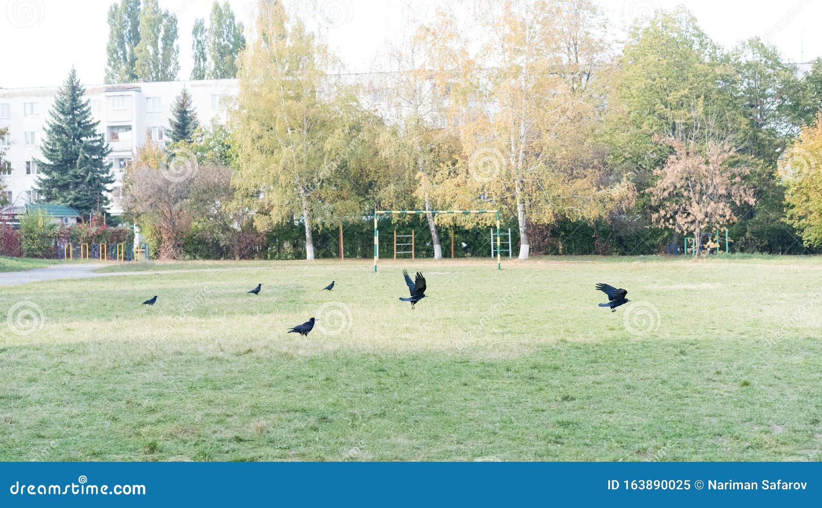 Soccer Field in the Scool Yard Stock Image Image of game, lawn 163890025
