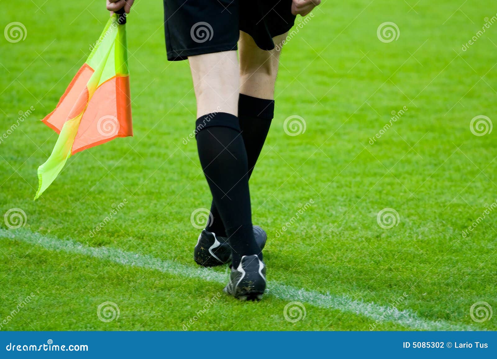 Soccer or football referee stock photo. Image of game 5085302