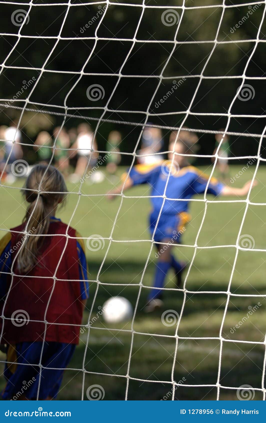 Soccer goal being made stock photo. Image of victory, sport 1278956