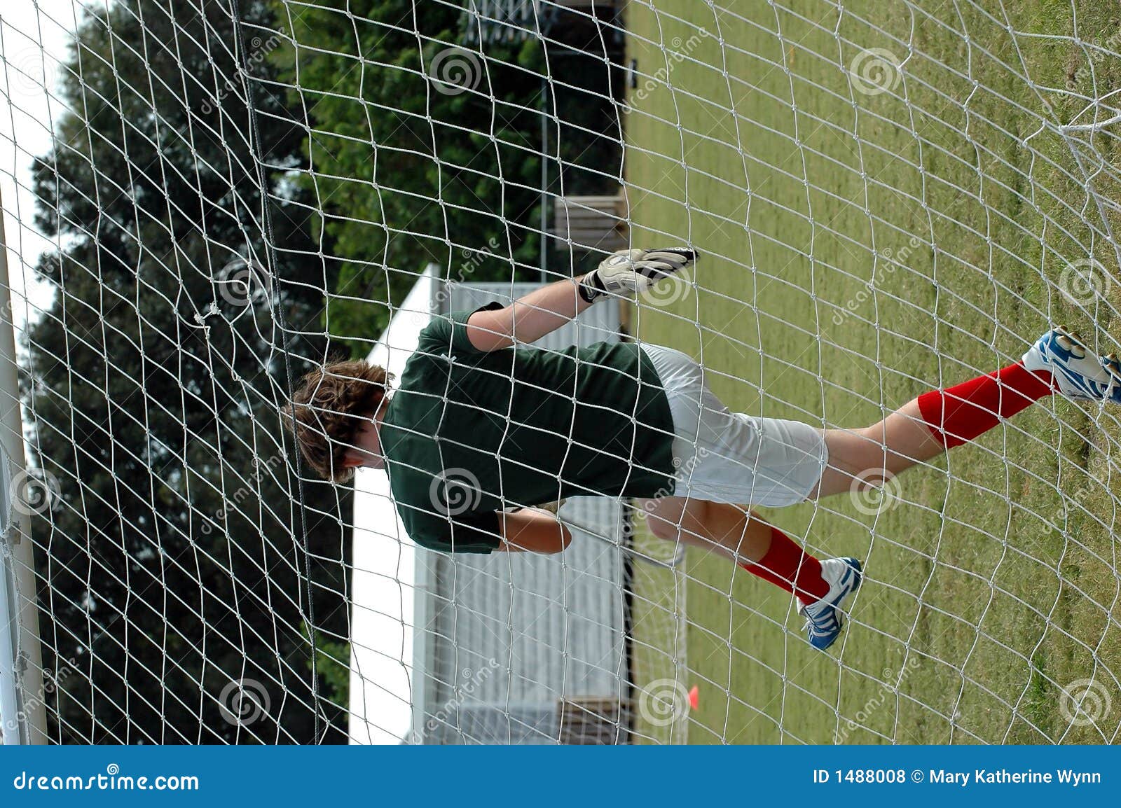 Soccer Goalie Picture. Image: 1488008