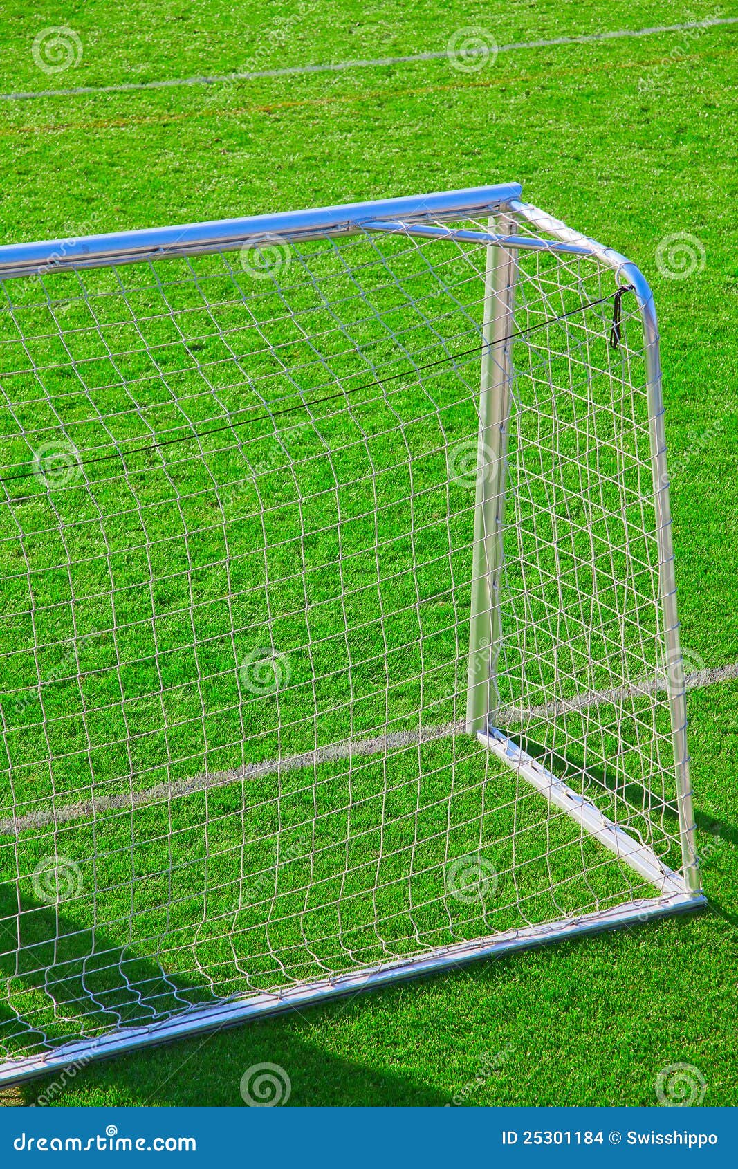 Soccer goals stock photo. Image of gate, kick, game, grass 25301184