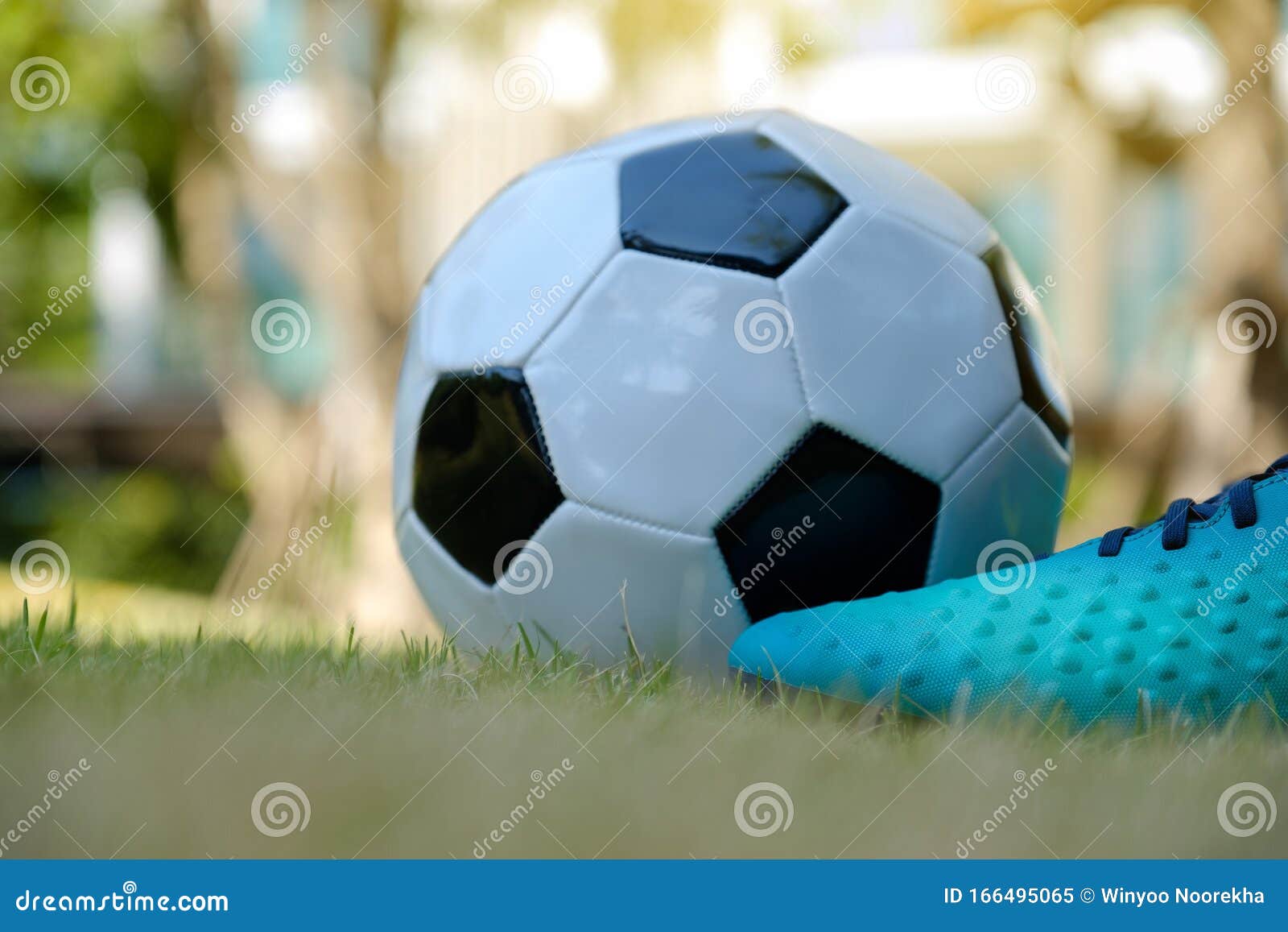 Soccer shoe ready to kick stock image. Image of kick 166495065