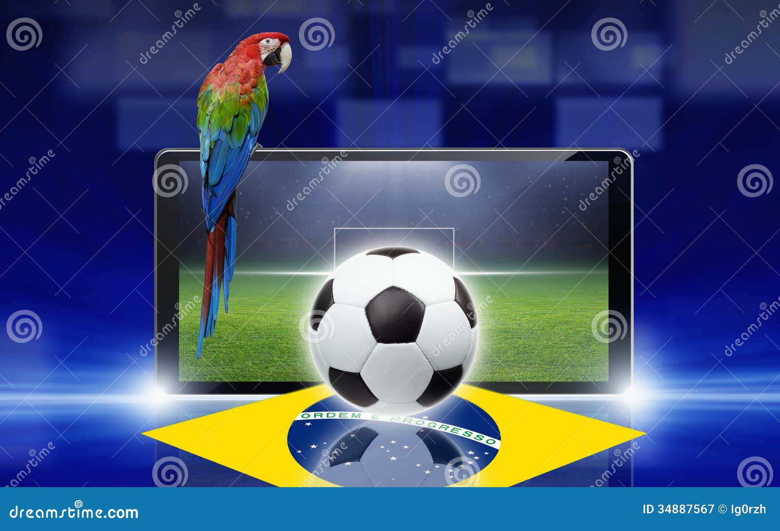 Soccer Video Game, Brazil Parrot Royalty Free Stock ...