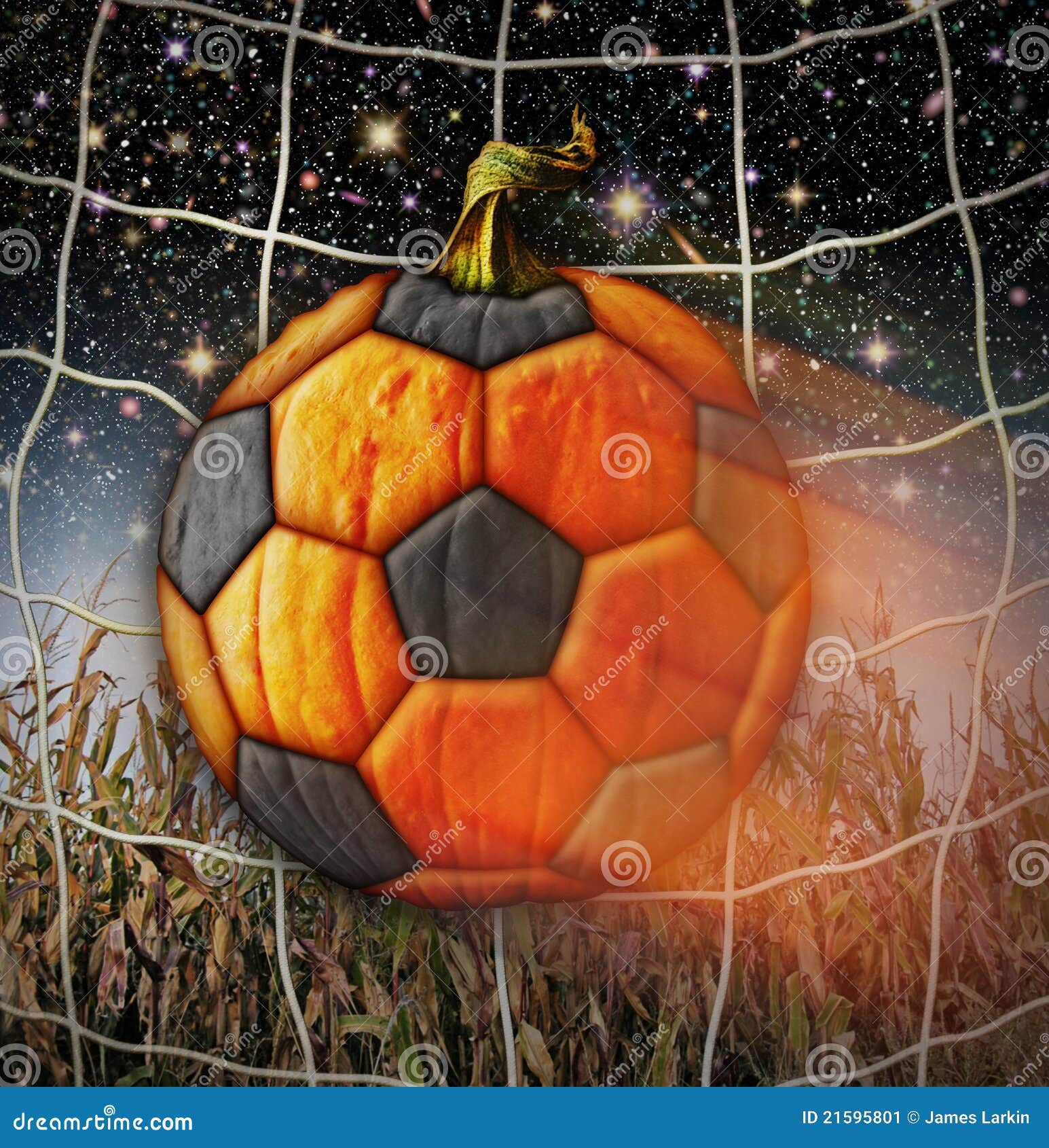 Soccerball Pumpkin Stock Image Image 21595801