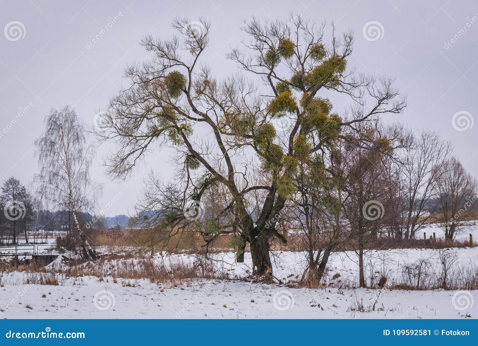 soce village in poland