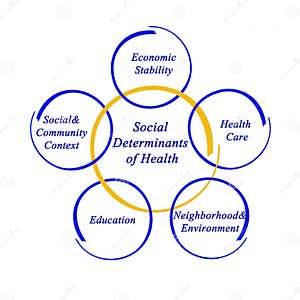 Determinants Cartoons Illustrations Vector Stock Images 262 