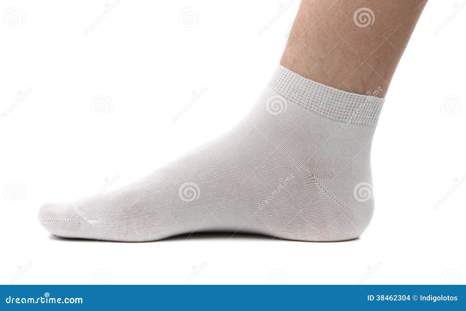 Sock and foot. Isolated stock photo. Image of elegant - 38462304