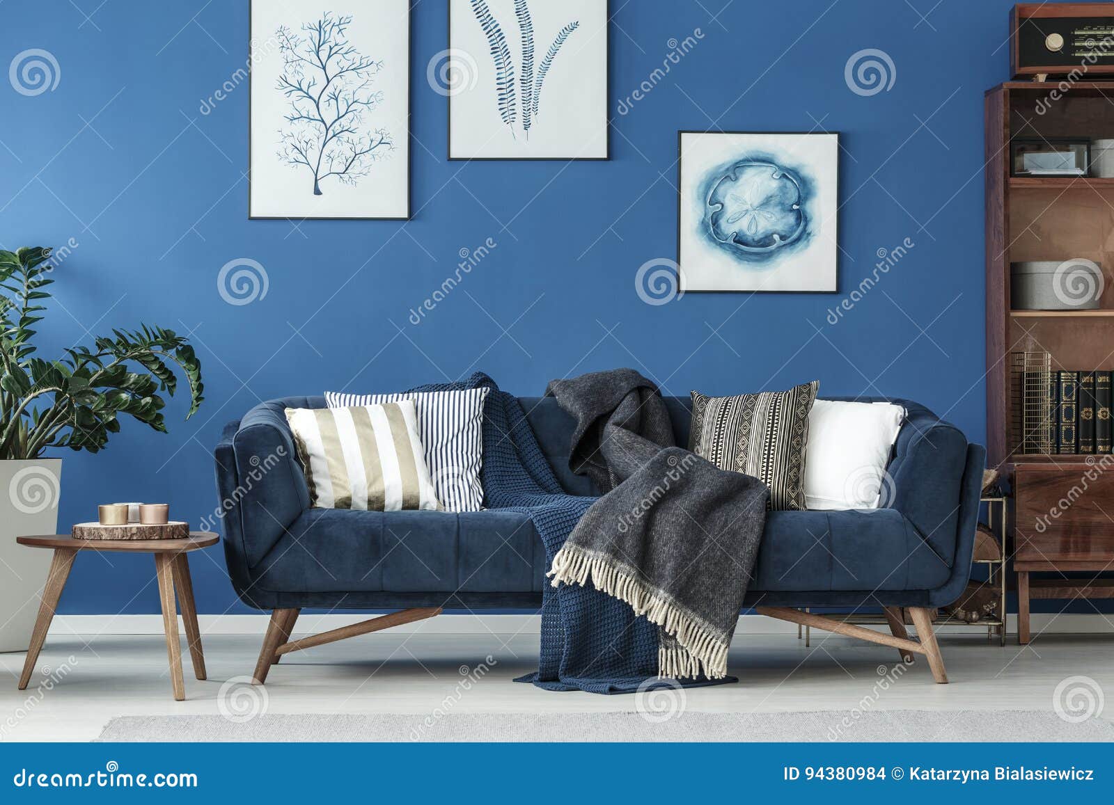 Sofa in living room stock photo. Image of books, bookshelf 94380984
