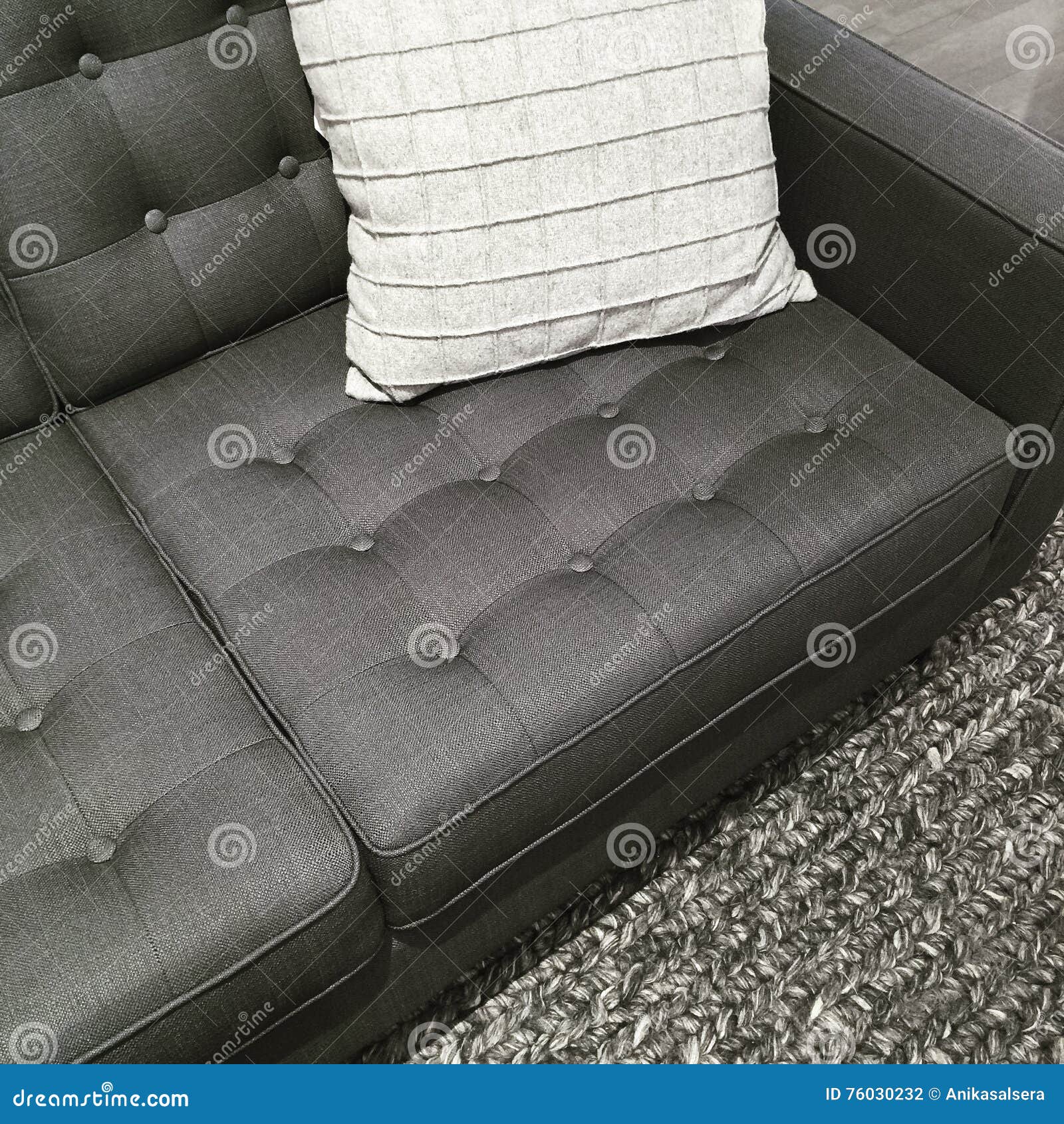 Sofa, Rug and Cushion in the Shades of Gray Stock Photo Image of gray