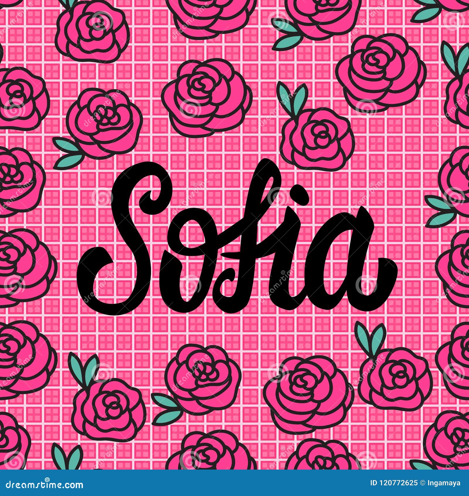 Sofia Name Card With Lovely Pink Roses Vector Illustration Stock Vector Illustration Of Girl Female