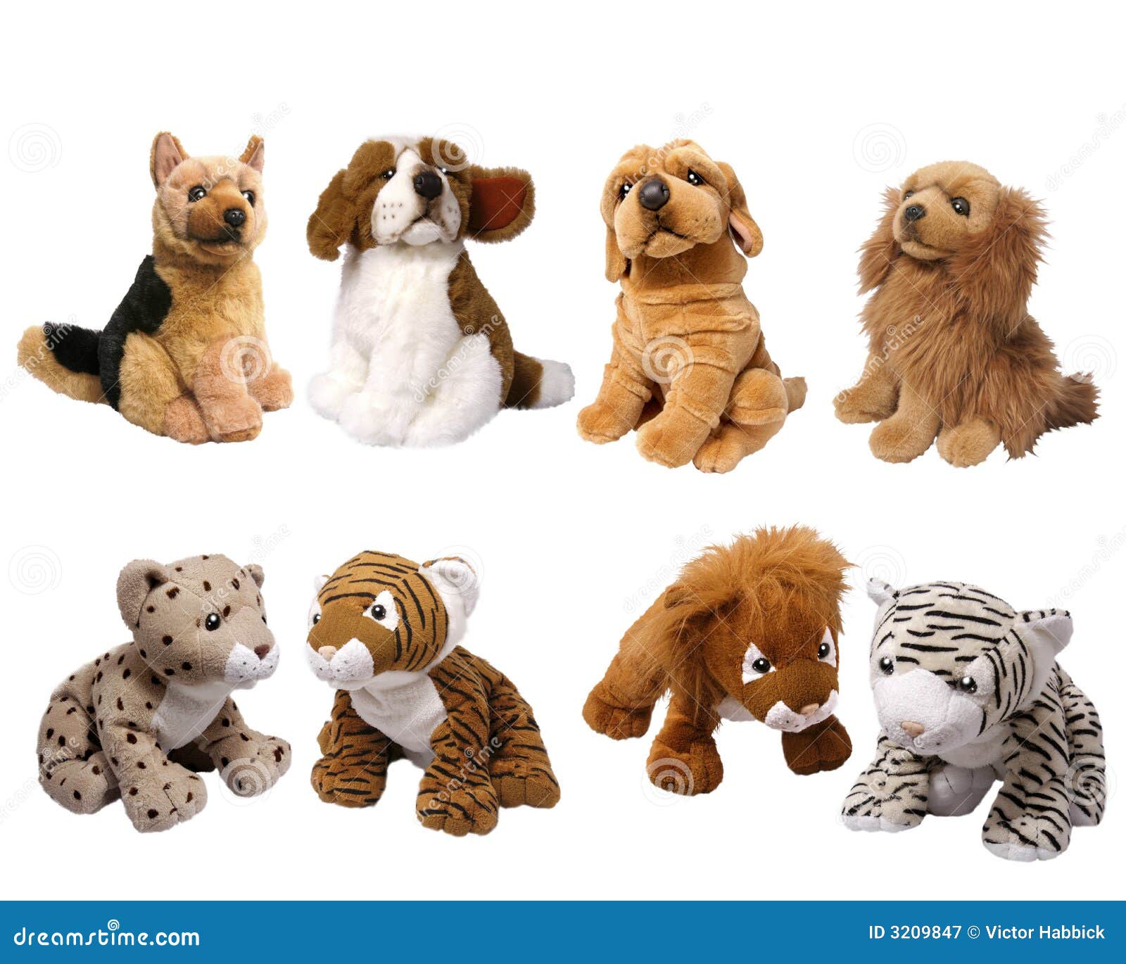 Soft animal toys stock image. Image of isolated, studio ...