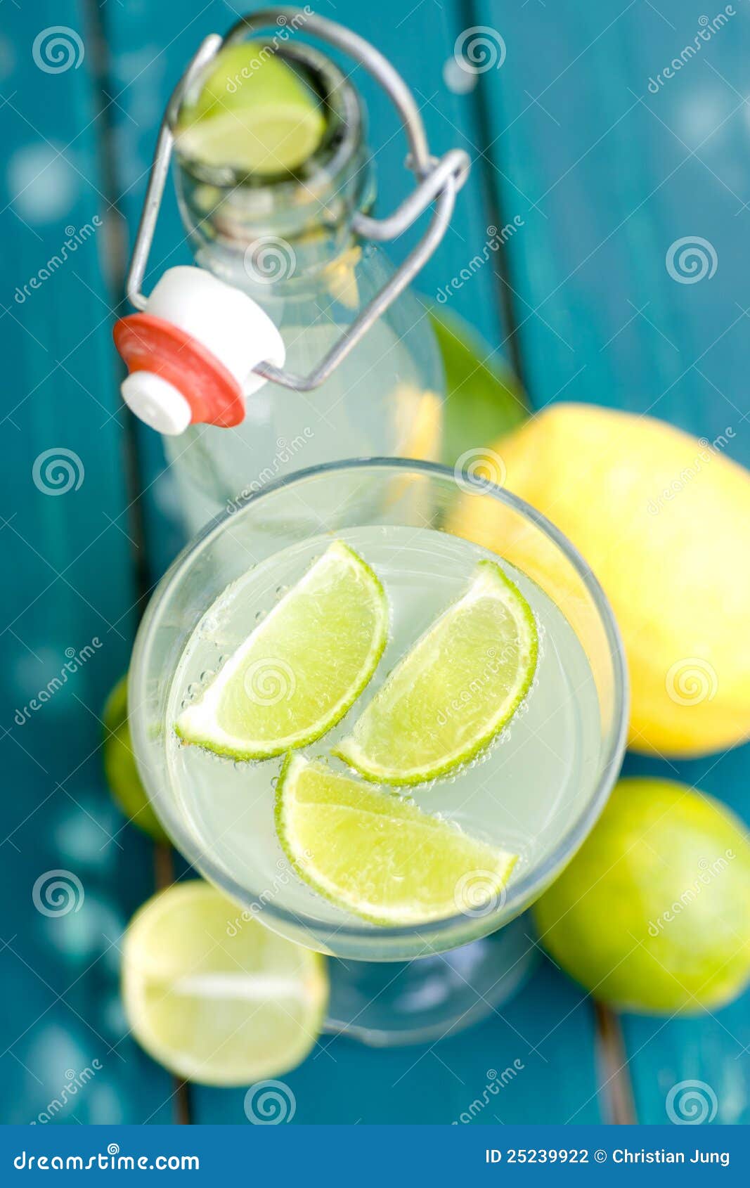 Soft drink, citrus fruits stock photo. Image of soda 25239922