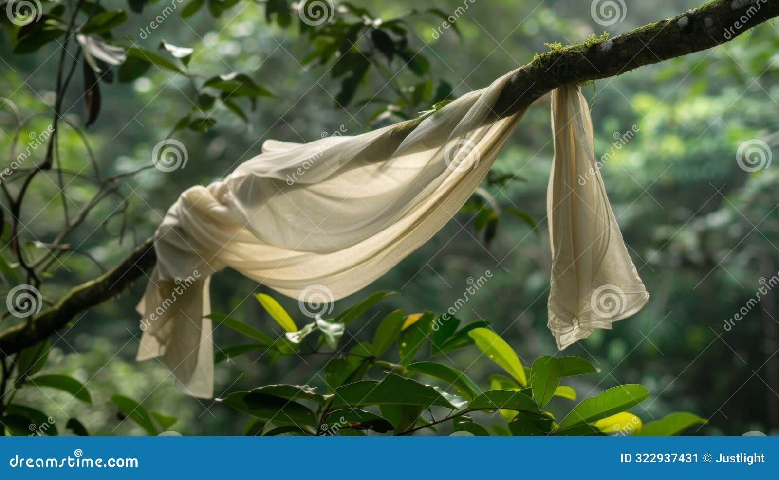 soft flowing fabric hangs from a vinecovered branch caught in the gentle gusts of wind that sweep through the rainforest