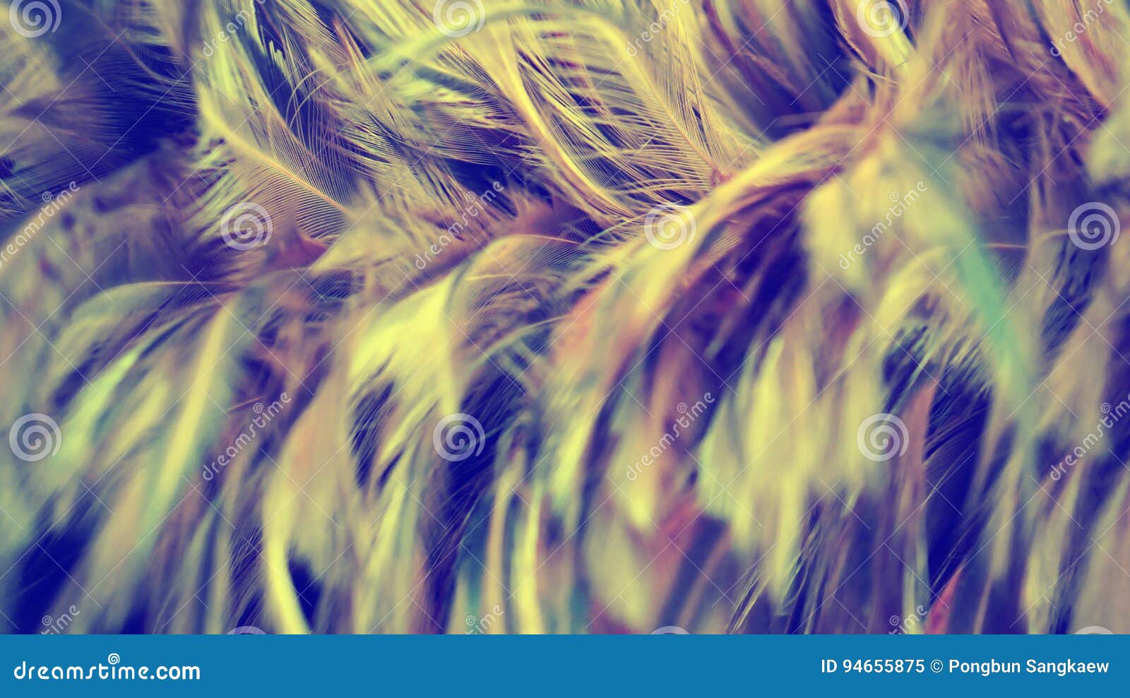 soft focus brown feathers background